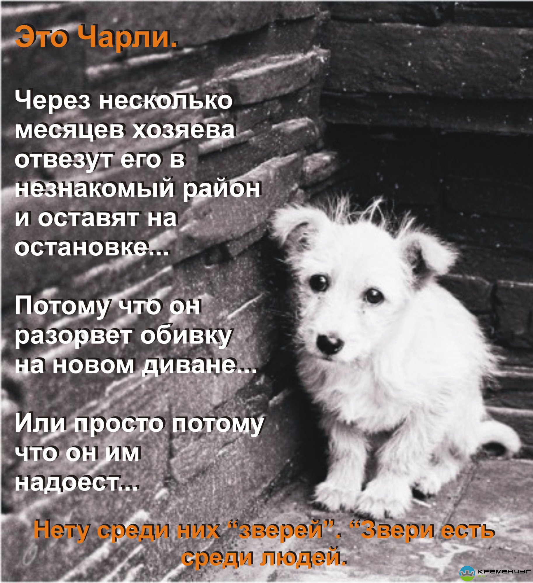 Стих о человеке и животном Стих о человеке и животном