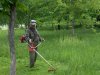 Председателей ОСМД просят покосить траву на закреплённых территориях