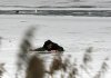 На Кременчугском водохранилище мужчина провалился под лёд и утонул