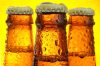 Утоляя жажду, двое товарищей украли пива на 1600 гривен