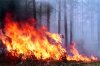 В Полтавской области объявили высокий класс пожарной опасности