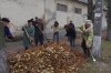 В Автозаводском районе вывезено почти 10 тыс. куб. м опавших листьев