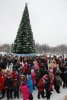 Главную новогоднюю ёлку Кременчуга откроют 20 декабря
