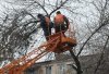 КП «Благоустройство Кременчуга» проводит плановое кронирование деревьев