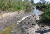 Река Сула в районе с. Сенча летом 2012 года. Фото: news.studclub.poltava.ua