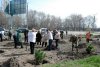 В Крюковском районе прошёл День окружающей среды