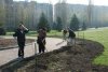 В День окружающей среды в парке Мира высадили 84 дерева