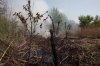 В Кременчугском районе при сжигании камыша загорелся сарай