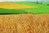 В Украине повысят эффективность рационального использования земель