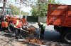 В Крюковском районе продолжаются работы по вывозу опавшей листвы и мусора