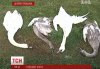 Пьяные охотники из Кременчуга расстреляли семью лебедей (видео)
