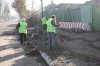 В Крюковском районе за октябрь вывезено 419 м3 опавших листьев и мусора