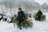 В Полтавской области продолжается операция «Новогодняя ёлка»