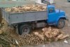 КП «Благоустройство Кременчуга» обеспечивает дровами нуждающихся кременчужан