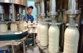Кременчугский молокозавод в первом полугодии уменьшил производство на 4,5%