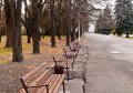 В парке культуры и отдыха «Приднепровский» высаживают молодые деревья