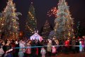 В этом году в Кременчуге установят 16 новогодних ёлок