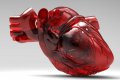 Диспластическая кардиопатия у детей