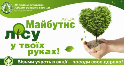 В Полтавской области высажено уже 450 га леса