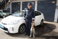 Общественный порядок в Кременчуге охраняют 4 служебные собаки