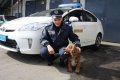 Общественный порядок в Кременчуге охраняют 4 служебные собаки