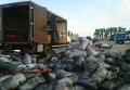 В Полтавском районе от пожара спасли грузовой автомобиль с древесным углем