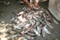 Водные милиционеры изъяли 57 кг незаконно выловленной рыбы