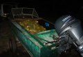 Водная милиция задержала за браконьерство двух рыбинспекторов, выловивших 377 кг рыбы (фото)