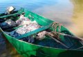 На Кременчугском водохранилище задержали браконьеров, выловивших более 200 кг рыбы