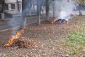 Калашник просит кременчужан не сжигать опавшие листья