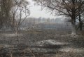 Спасатели ликвидируют пожары залежей торфа в Глобинском и Хорольском районах (фото, видео)