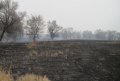 Спасатели ликвидируют пожары залежей торфа в Глобинском и Хорольском районах (фото, видео)