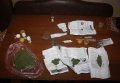 Полицейские изъяли у 49-летнего кременчужанина марихуану и «Метадон»