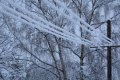 Из-за неблагоприятных погодных условий в Полтавской области от электроснабжения отключено 87 населённых пунктов