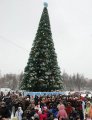 Главную Новогоднюю ёлку Кременчуга откроют 19 декабря
