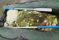 В Глобинском районе полиция изъяла более 65 кг незаконно выловленной рыбы