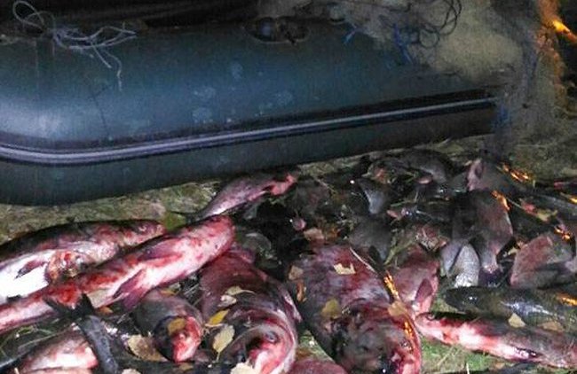 Водная полиция Кременчуга задержала троих браконьеров, выловивших сетями почти 100 кг рыбы